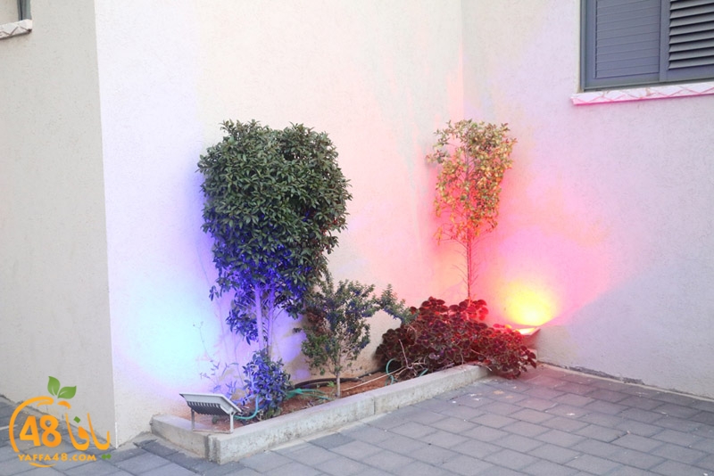 lud nakheel showqaq (9).JPG